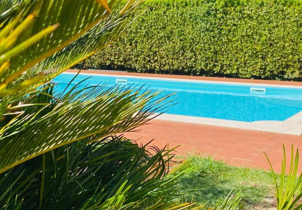 Appartamento Casa Belmoro Con Piscina Pescia Esterno foto