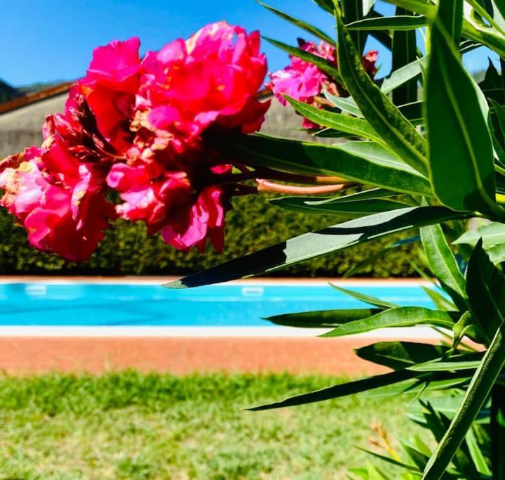 Appartamento Casa Belmoro Con Piscina Pescia Esterno foto